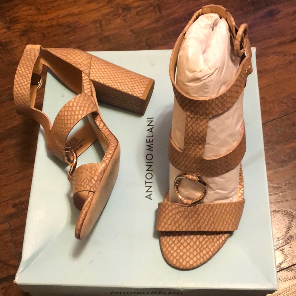 Antonio Melani Shoes